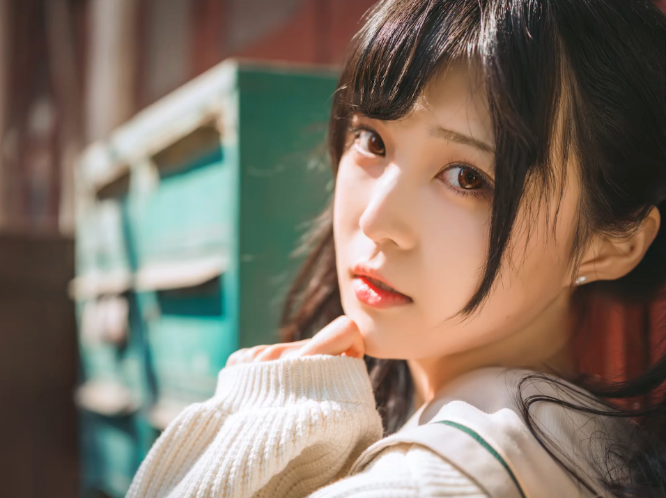 人像预设
